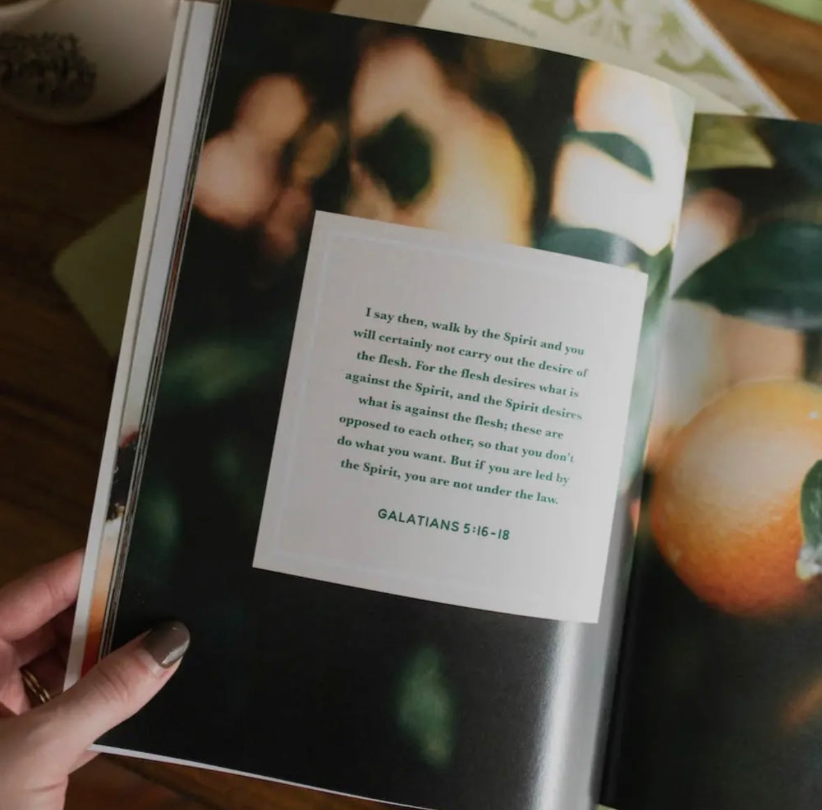 The Fruit of the Spirit Bible Study