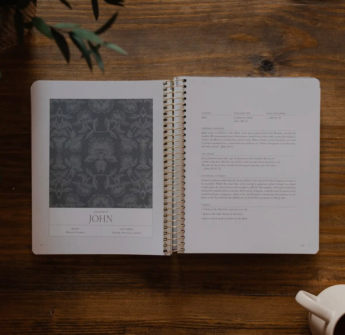 A Year in the Bible | Volume 4