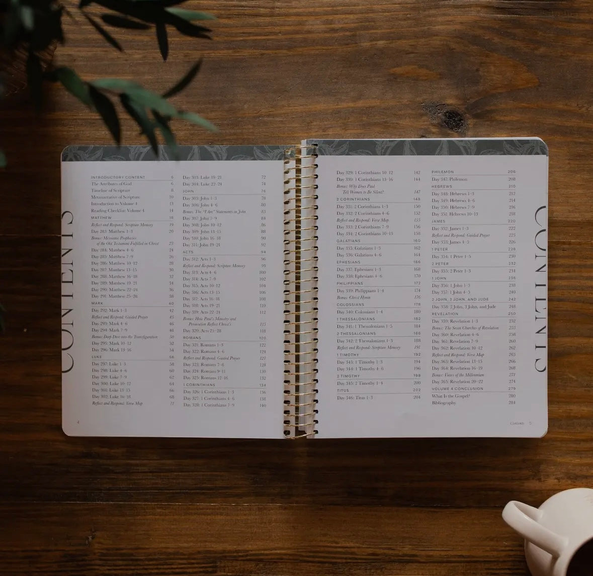 A Year in the Bible | Volume 4