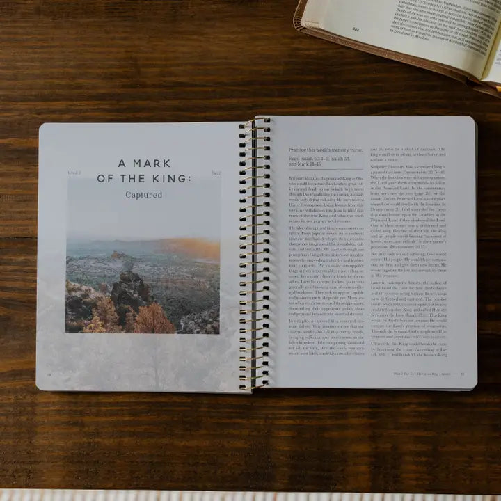 Peaks and Valleys Men's Bible Study