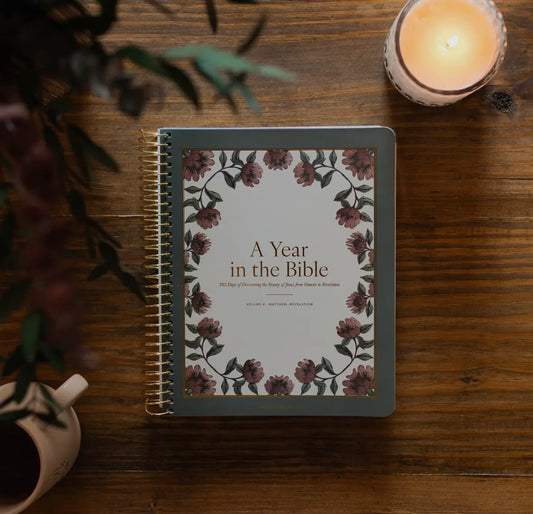 A Year in the Bible | Volume 4