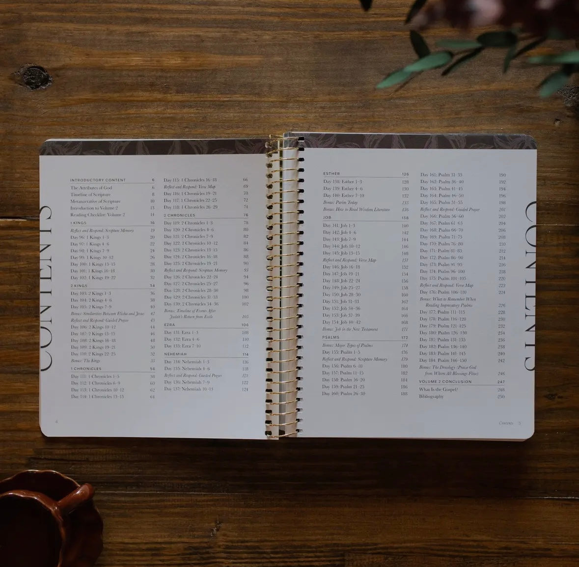 A Year in the Bible | Volume 2