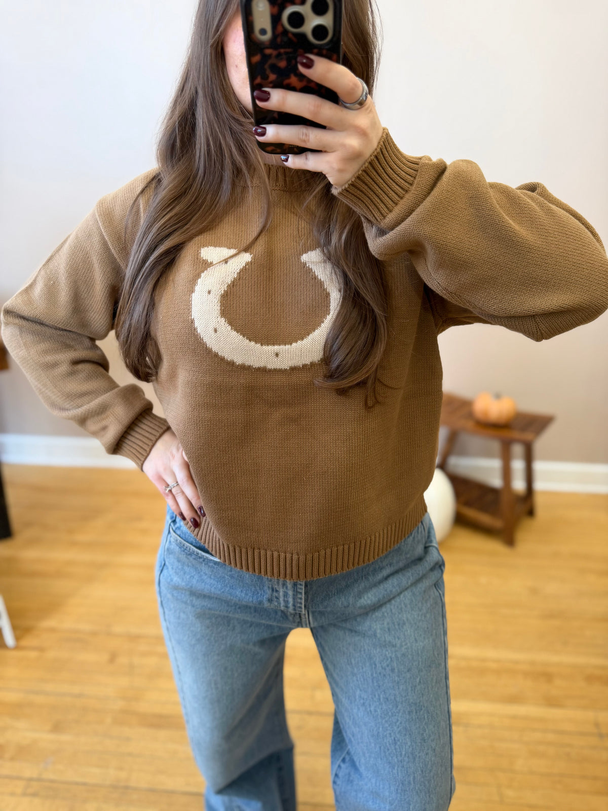 Horseshoe Sweater