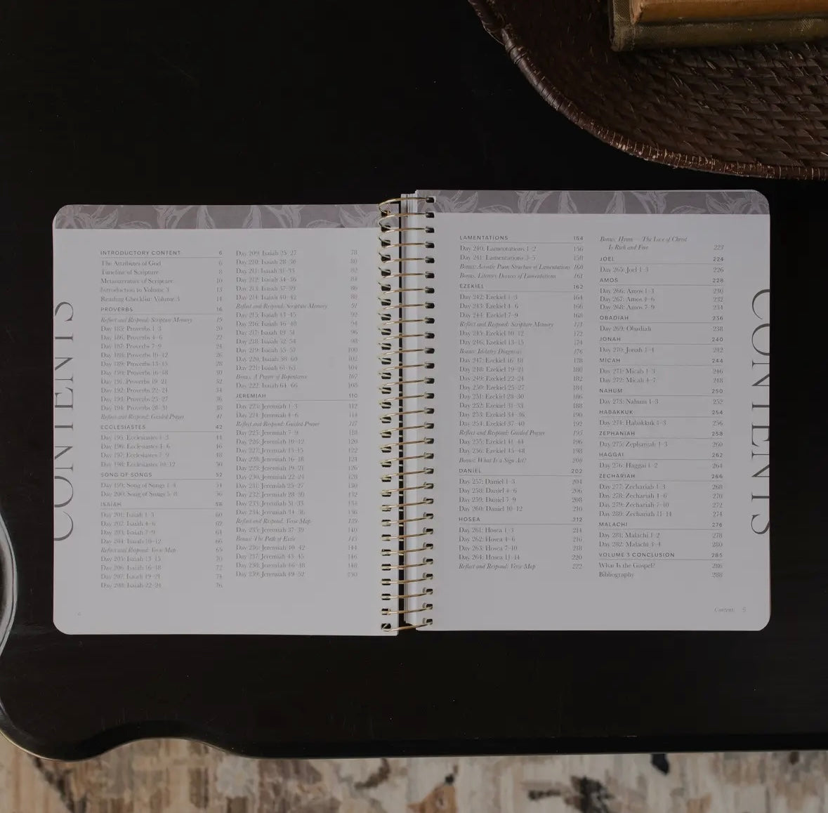 A Year in the Bible | Volume 3