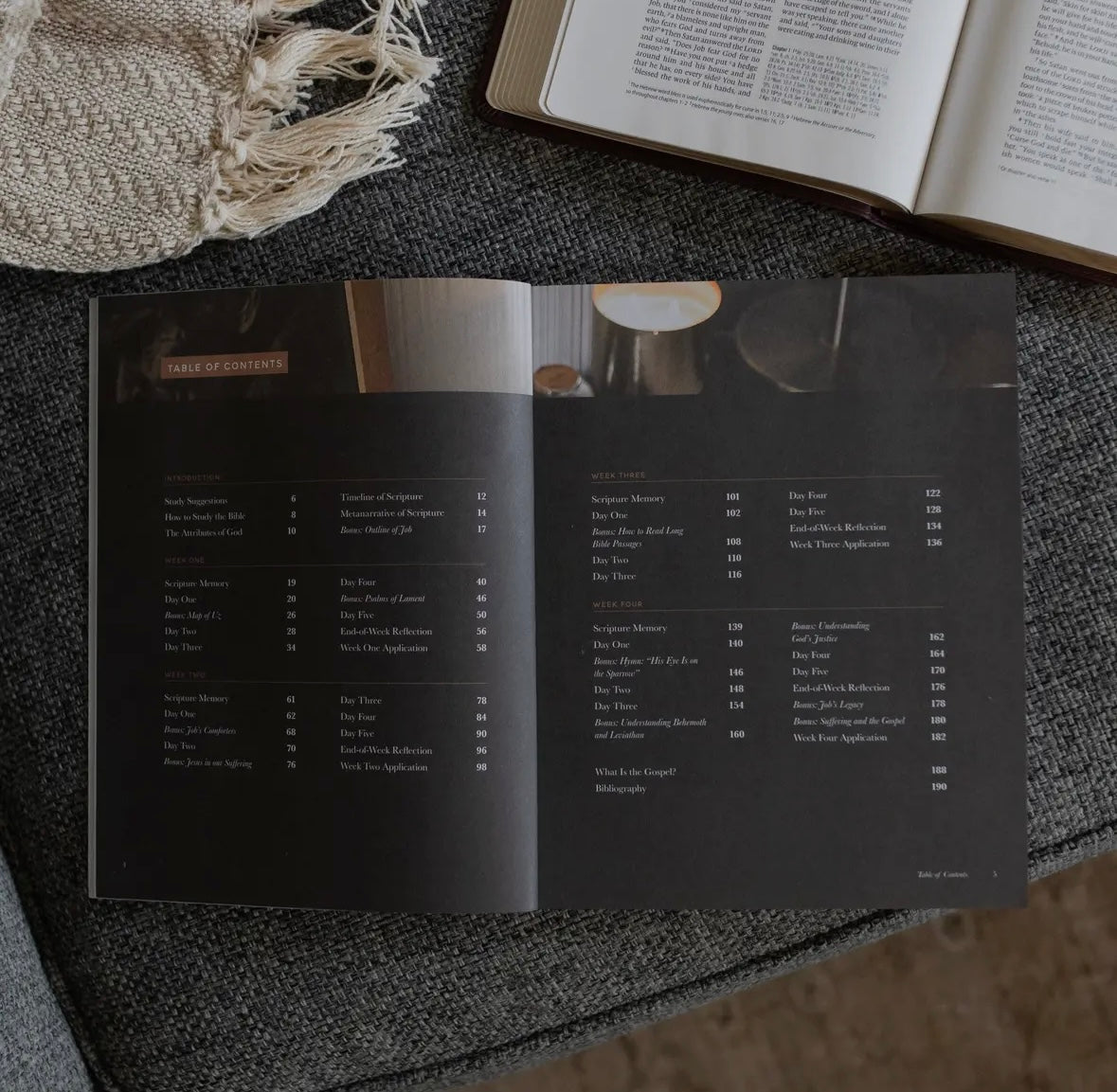 Holding to Hope | Men's Study