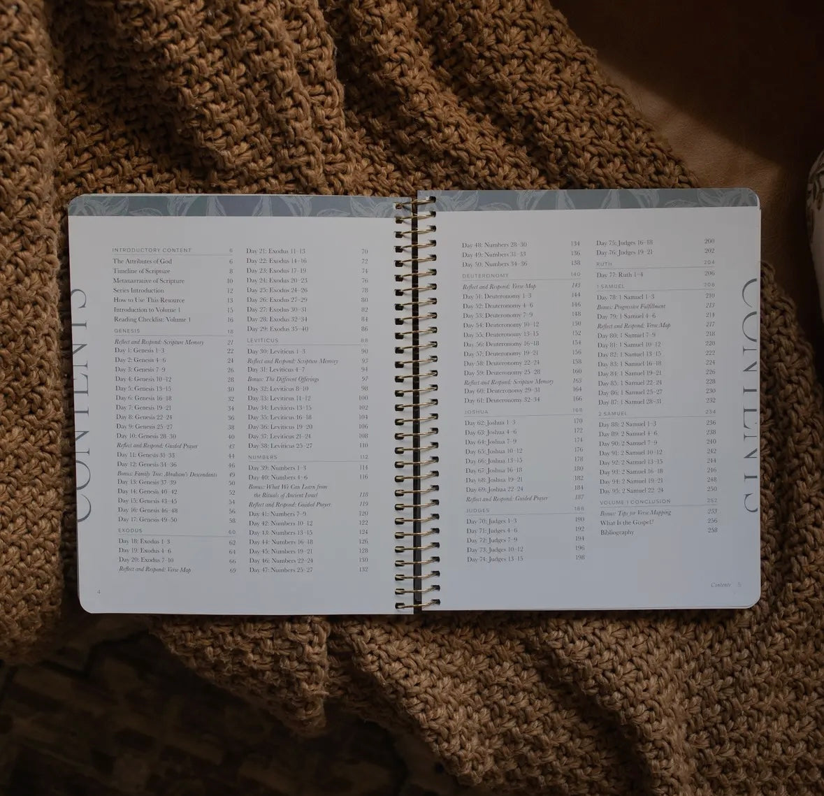 A Year in the Bible | Volume 1