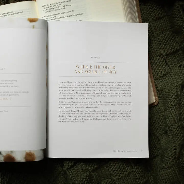 A Joy That Endures Bible Study